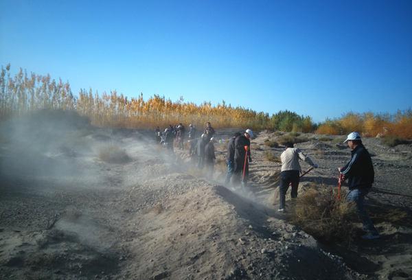 �����鹤�ɲ���չ�＾����ֲ���